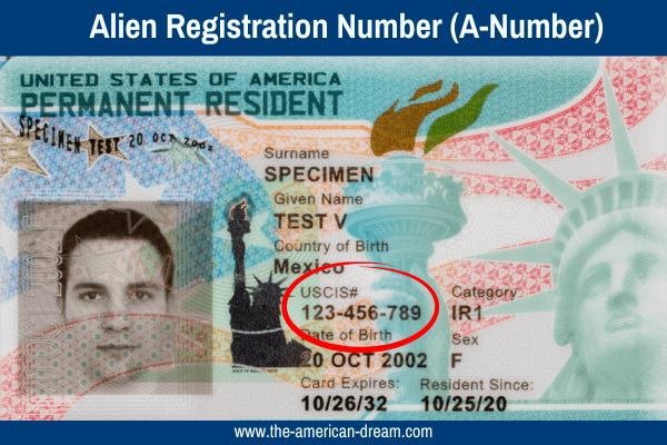 Alien Registration Number For Immigrants To The USA